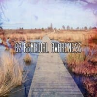 62 Remedial Awareness