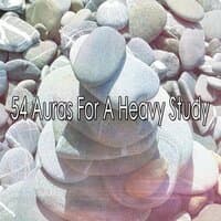 54 Auras for a Heavy Study