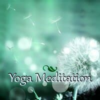 Yoga Meditation – The Fountain Sounds of Nature, White Noise for Mindfullness Meditation, Massage, Spa Music, Reiki, Tai Chi