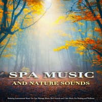 Tranquil Ambient Music