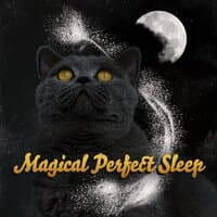 Magical Perfect Sleep