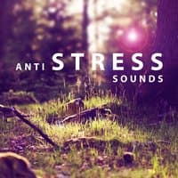 Anti Stress Sounds – Nature Noise for Relaxation, Singing Birds, Soothing Water, Soft Music