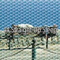 44 Straight up Sleep