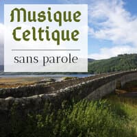 Musique Celtique sans Parole - Chansons instrumentales irlandaises relaxantes