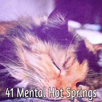 41 Mental Hot Springs