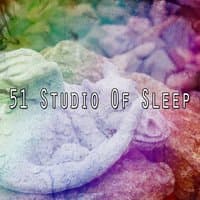 51 Studio Of Sleep