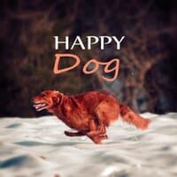 Happy Dog – Happy Animals, Soothing Nature Sounds for Puppies & Cats, Calm Down Your Animal Companion