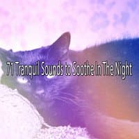 71 Tranquil Sounds to Soothe In The Night