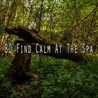 80 Find Calm at the Spa