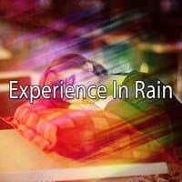 Experience In Rain