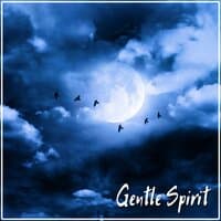 Gentle Spirit - Deep Meditation, Calming Music, Insomnia Help Sleeping Music, Dealing with Stress