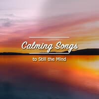 12 Calming Songs to Still the Mind