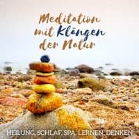 Meditation mit Klängen der Natur (Heilung, Schlaf, Spa, Lernen, Denken)