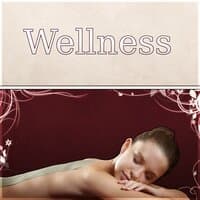 Wellness - Natural Spa Music and Tranquility Spa, Sounds of Nature, New Age, Mindfulness Meditation, Sleep Music and Spa Dreams, Reiki, Healing Massage