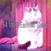 54 Well Earned Sleep