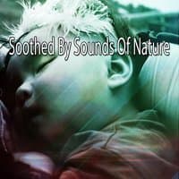 Soothed By Sounds Of Nature