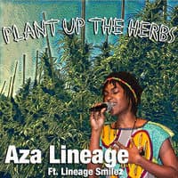 Plant up the Herbs