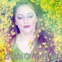 25 Rain on the Brain