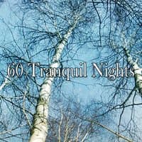 60 Tranquil Nights