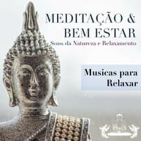 Meditação & Bem Estar: Musicas para Relaxar, Sons da Natureza e Relaxamento