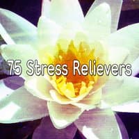 75 Stress Relievers