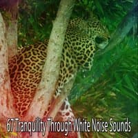 67 Tranquility Through White Noise Sounds