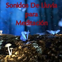 Ruido De Fondo Para Estudio De Yoga, Sonidos Espirituales, Sonidos De Lluvia, Conciencia Plena Y Meditación, Ruido De Fondo En Bucle