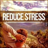 Reduce Stress – New Age Music for Beauty Salon and Spa, Relaxation, Massage, Acupressure, Aromatherapy, Beautiful and Healthy Body, Healing Power, Well Being, Rest After Work with Nature Sounds