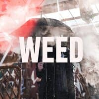 Weed