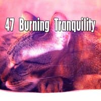 47 Burning Tranquility