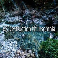 67 Destruction of Insomnia