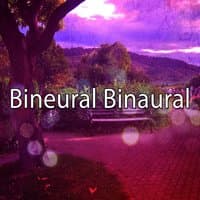 Bineural Binaural