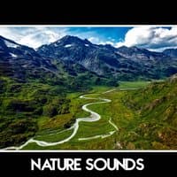 Nature Sounds – Total Relax, Organic Sounds, Ambient Nature