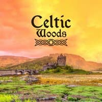 Celtic Woods: Enchanted Relaxing Music, Celtic Meditation, Beautiful Guitar, Harp, Flute