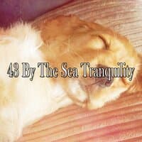 43 By The Sea Tranquility