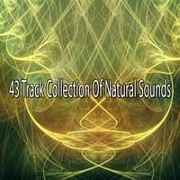 43 Track Collection Of Natural Sounds