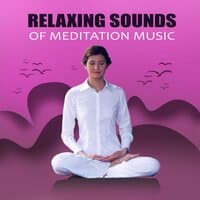 Relaxing Sounds of Meditation Music – Calming Sounds for Relaxing Moments, Music for Reiki & Meditation, Therapeutic Music, Relaxing Instrumental Music