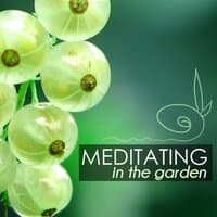 Meditating in the Garden - Sounds of Nature for Transcendental Meditation, Soothing Natural Zen Sounds