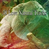 58 Love Natural Tracks