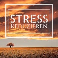 Stress Reduzieren - 1 Stunde Musik gegen Erschöpfung, Stress & Ermüdung