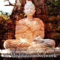 46 Meditation Network