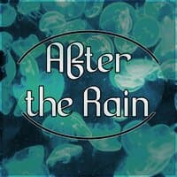 After the Rain - Reiki Therapy, Massage Music, Inner Peace, Relaxation Meditation, Yoga, Spa Wellness, Regeneration, Body Therapy