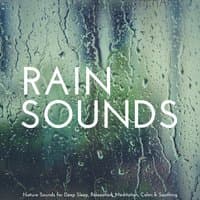 Rain Sounds: Nature Sounds for Deep Sleep, Relaxation, Meditation, Calm & Soothing