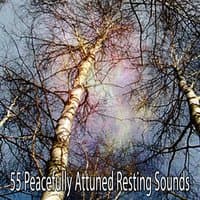 55 Peacefully Attuned Resting Sounds