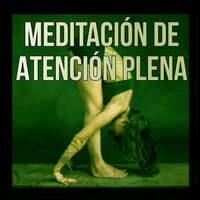 Meditación de Atención Plena – Meditación, El Sistema de Aprendizaje Alfa para Aumentar el Poder del Cerebro, Relajante Música Piano Para Escuchar Mientras Trabaja