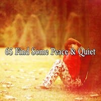 65 Find Some Peace & Quiet