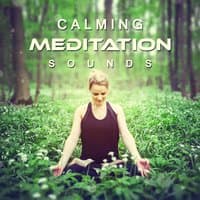 Calming Meditation Sounds: Relax, Zen Garden, New Age, Relaxing Music, Welness Soundtrack, Natural Remedy, Sleep Well