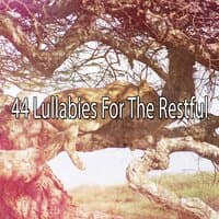 44 Lullabies for the Restful