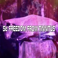 56 Freedom From Tinnitus