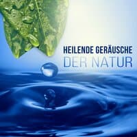 Heilende Geräusche der Natur - Tiefenentspannung Atmosphäre für Wellness & Regeneration, Ruhige Musik für Massage, Entspannungsmusik & Meditation